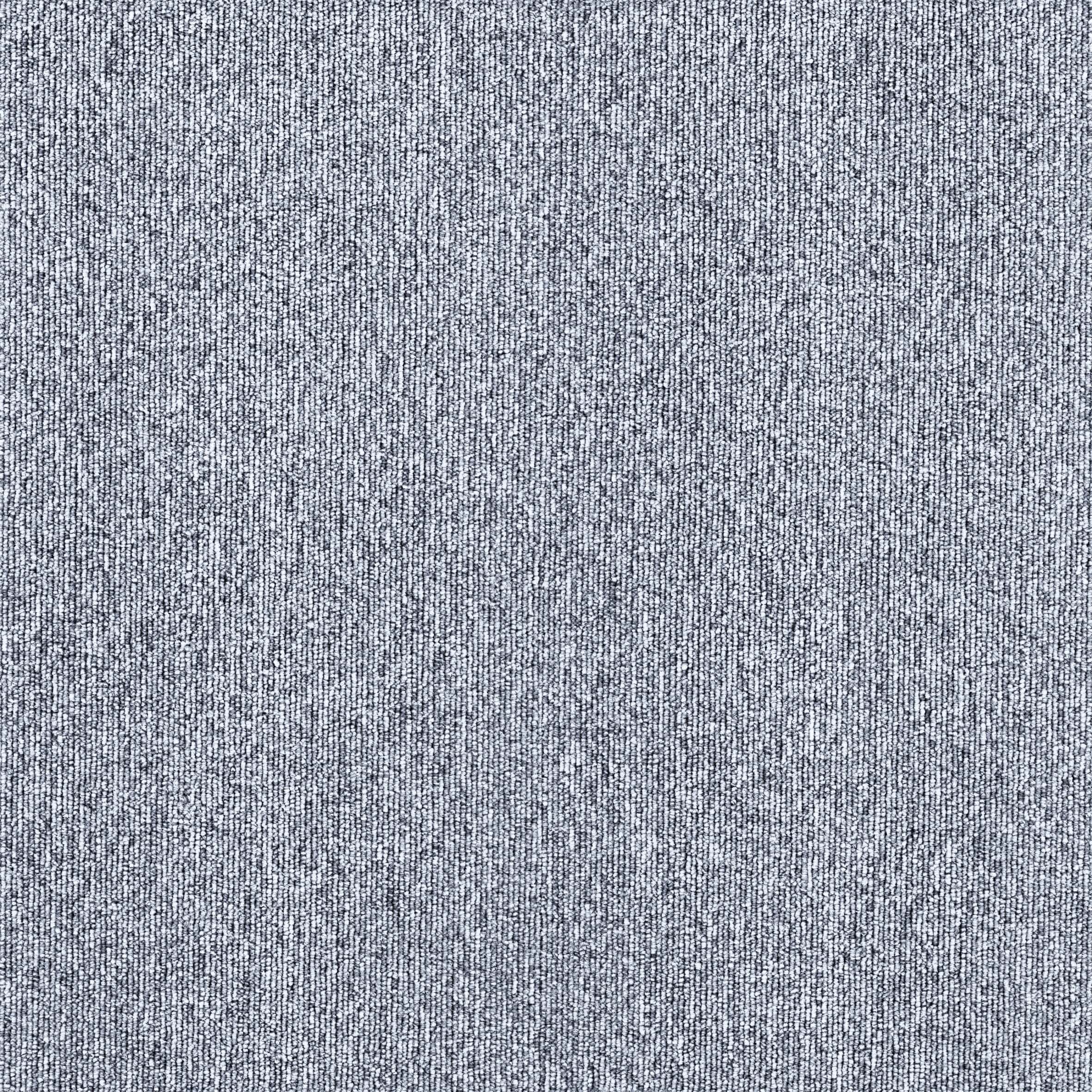 SNP-001.jpg